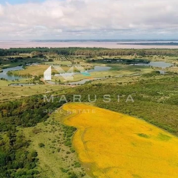Terreno Emp. Rural  en Venta en El Golf, Carmelo, Colonia