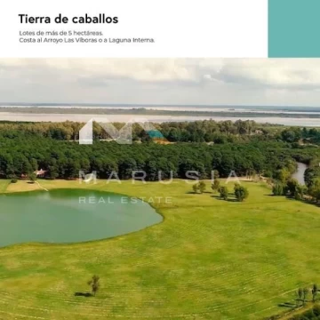 Terreno Urbano  en Venta en El Faro, Carmelo, Colonia