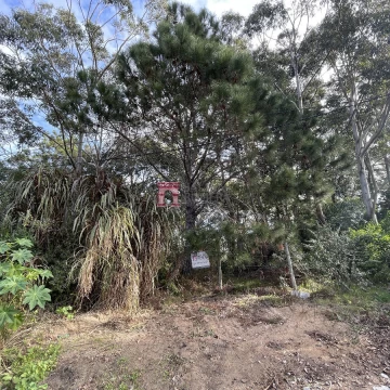 Venta Terreno La Barra