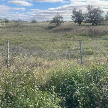 Campo - Chacra de 14 HAS en Atalaya, Magdalena - Ideal Ganado o Siembra