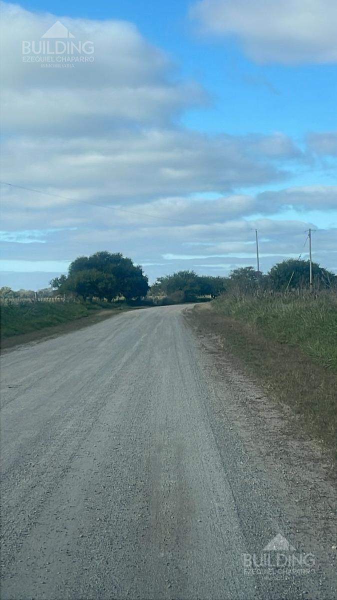 image 14