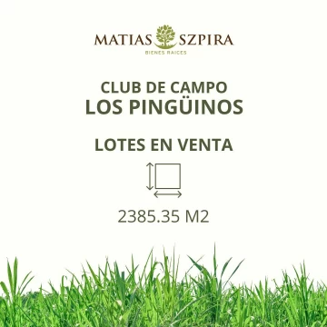 Lote en venta Los Pingüinos 