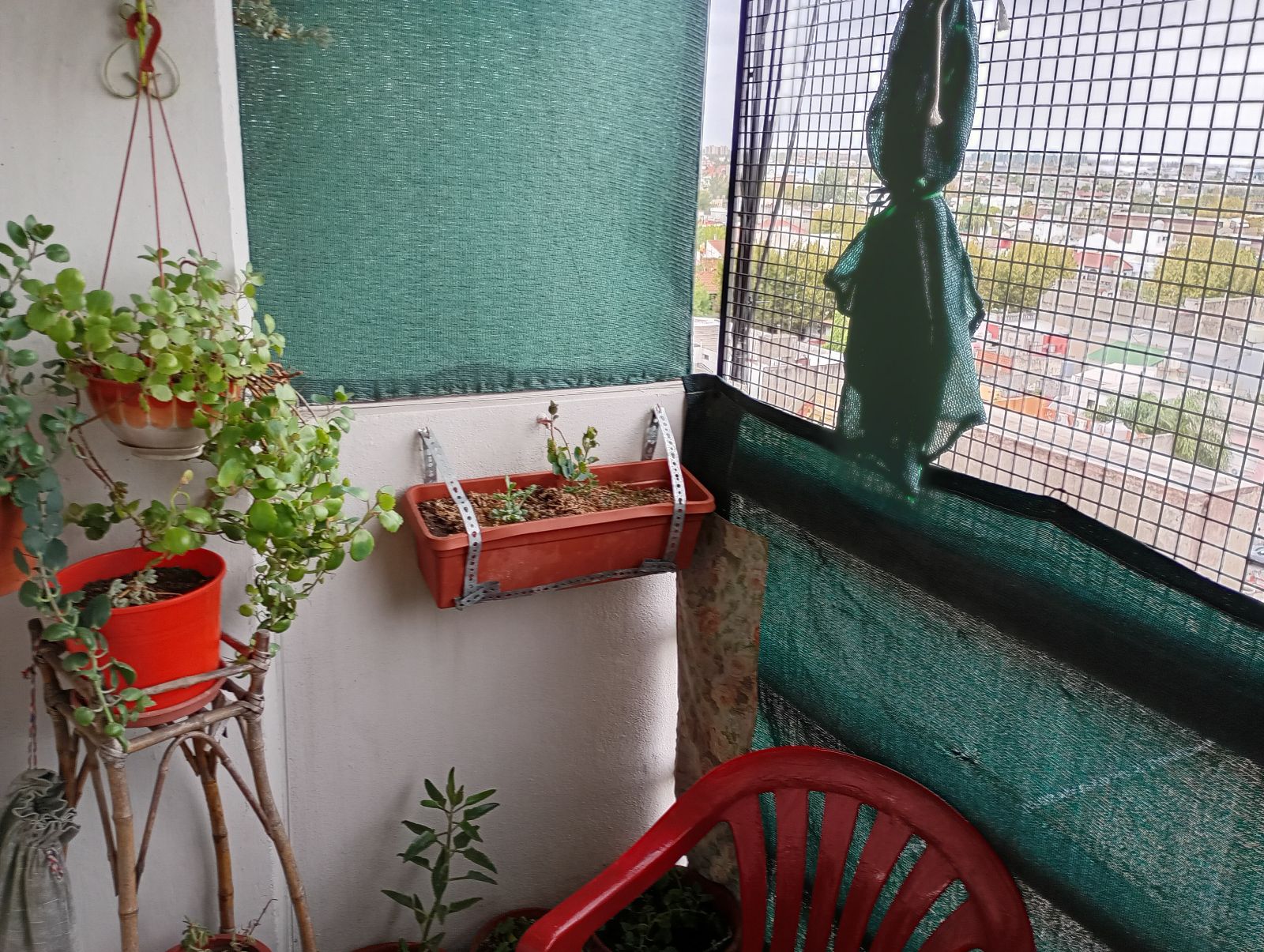 image 15
