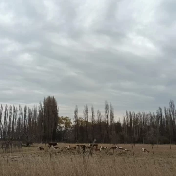 Chacra en  General Conesa. Excelente oportunidad