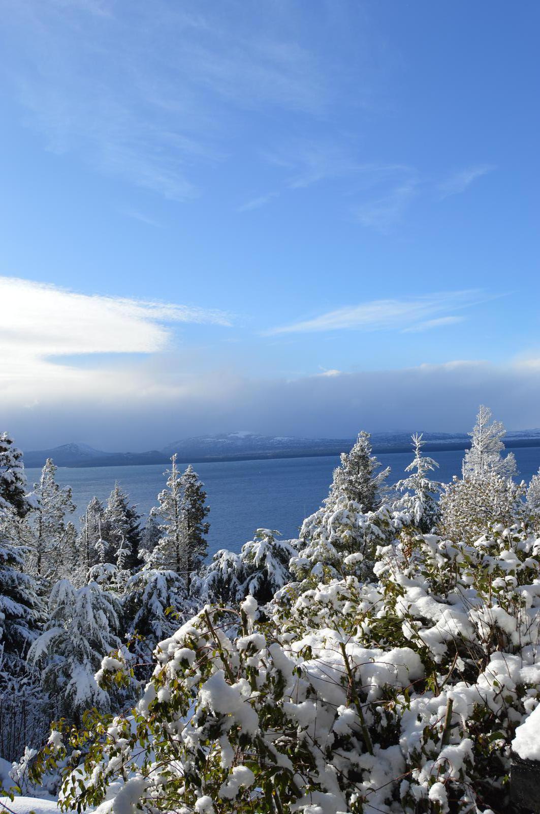 image 74