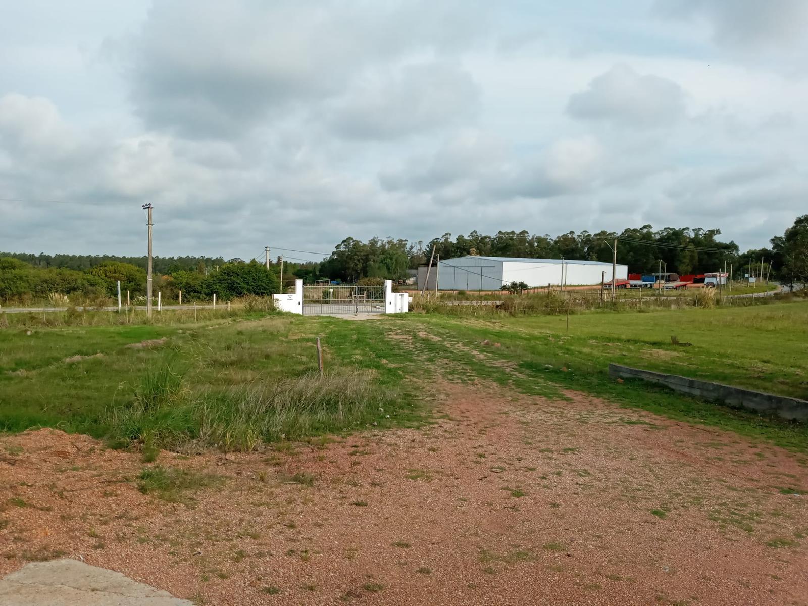 image 13