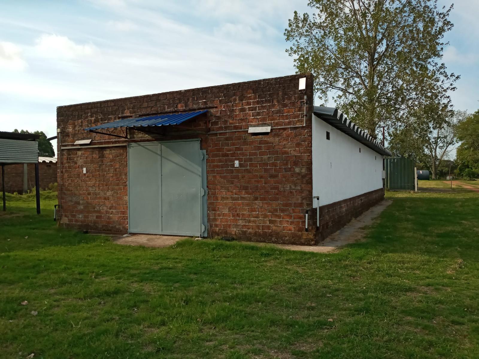 image 14