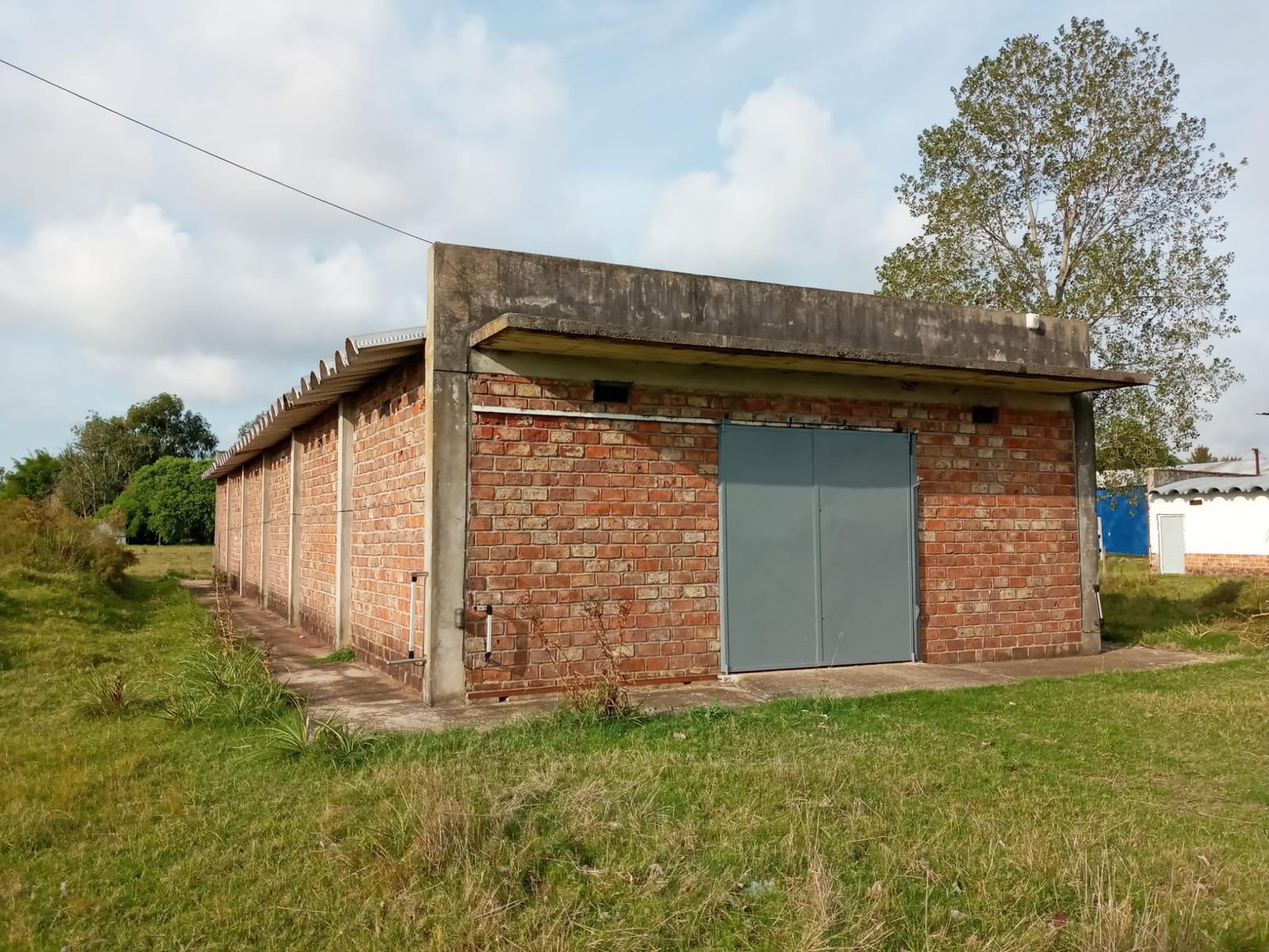image 15