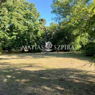 LOTE EN VENTA EN EL RESUELLO