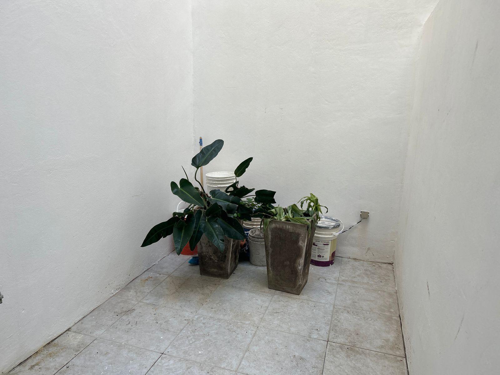 image 27