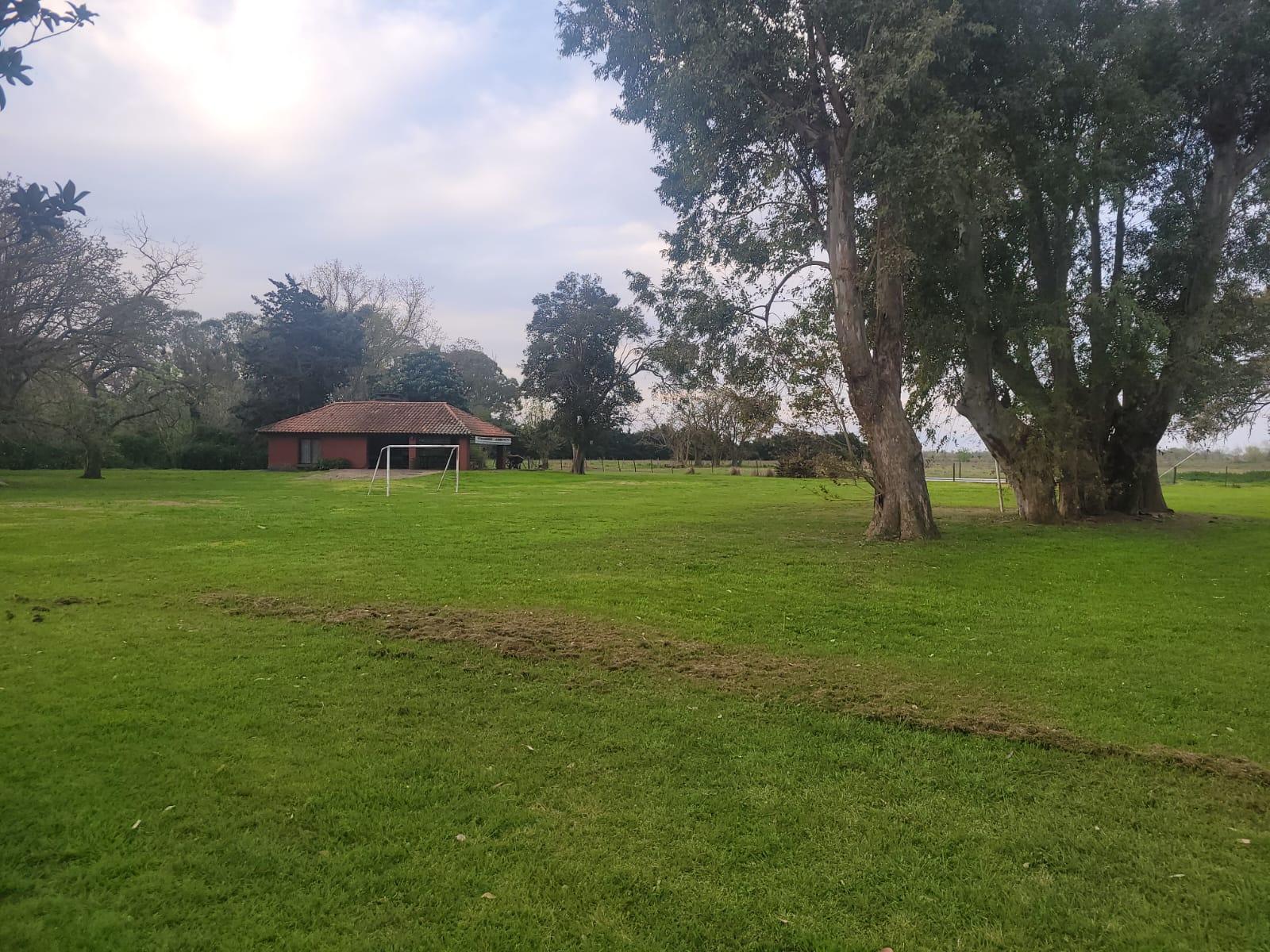 image 23