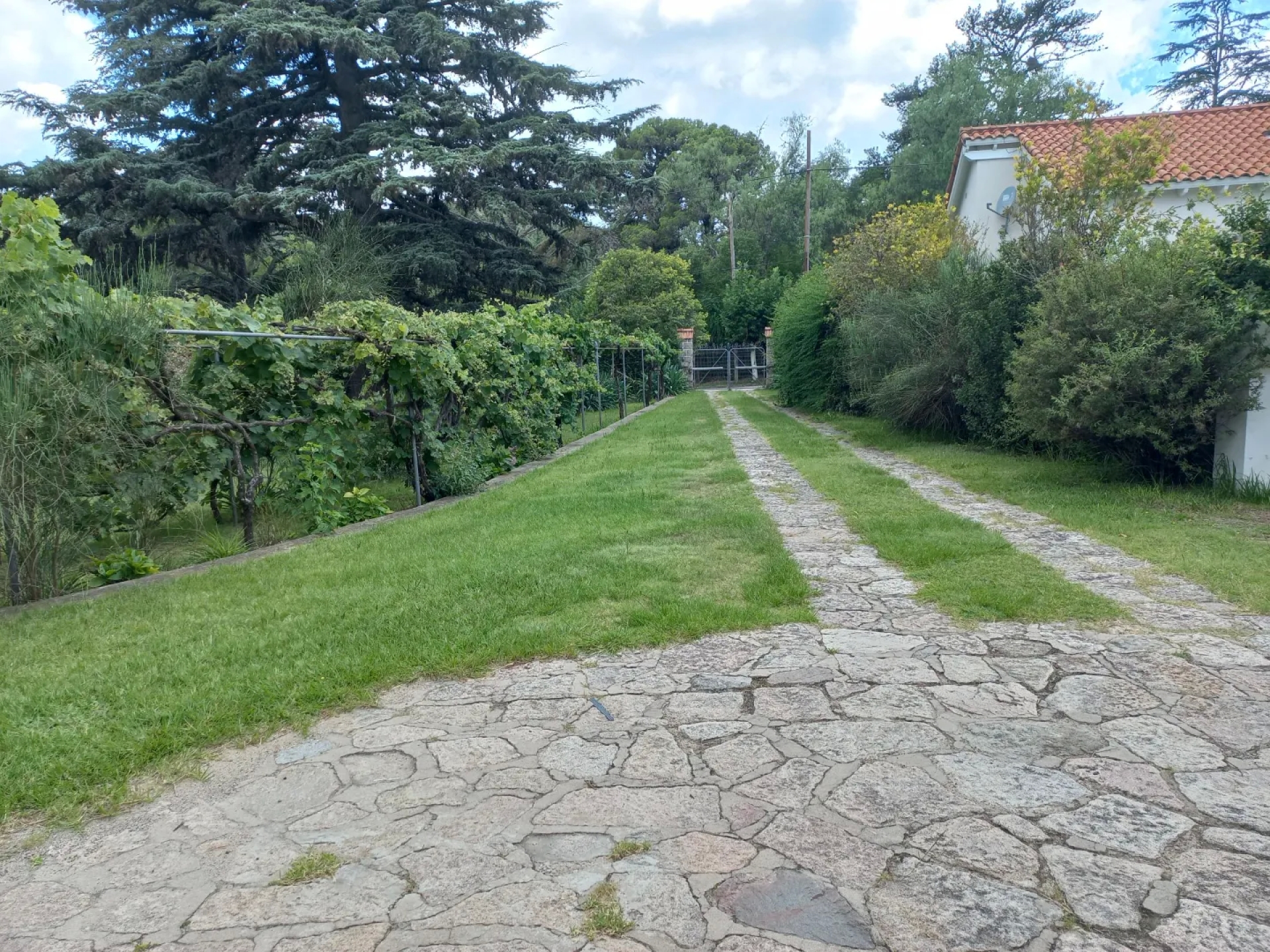 image 35