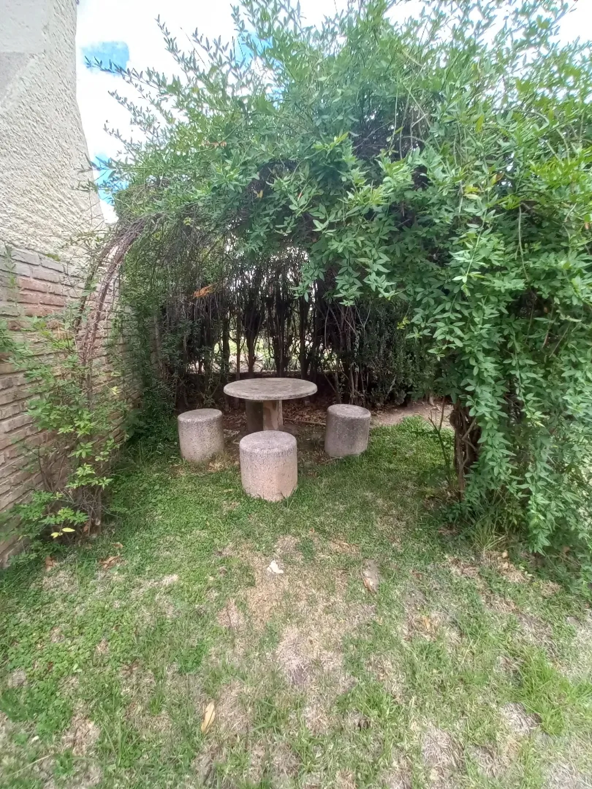 image 45
