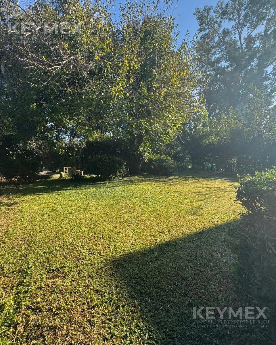 image 38