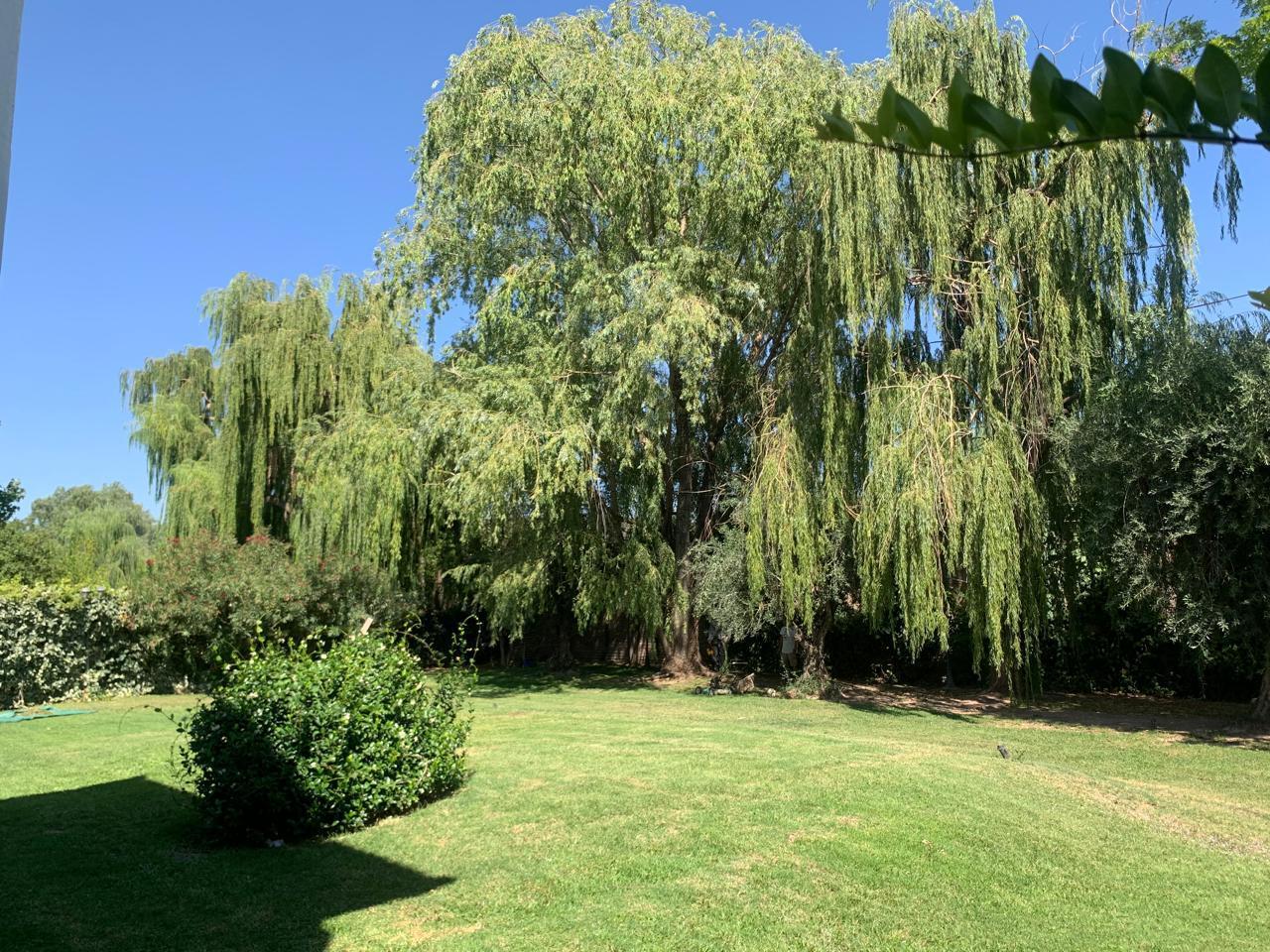 image 28