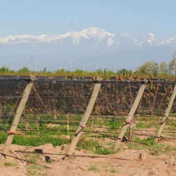 Finca en San Roque