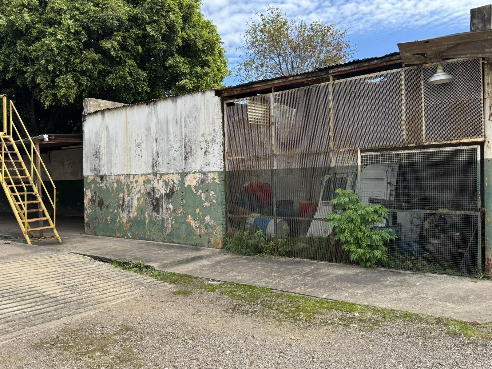 image 9