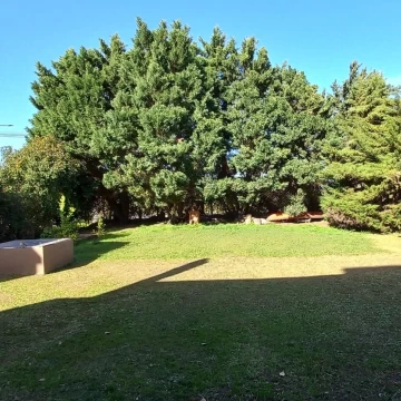 1752013050.jpg