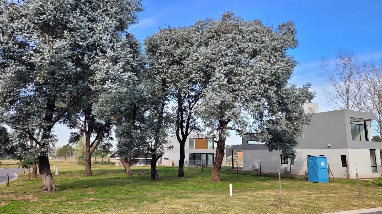Terreno en Azzurra Tortugas - Principal