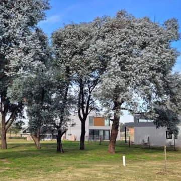 Terreno en  Azzurra Tortugas