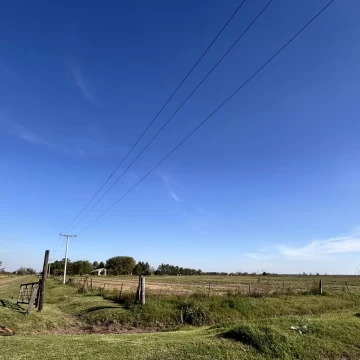 1752578048.jpg