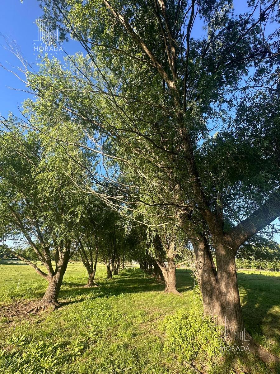 image 18