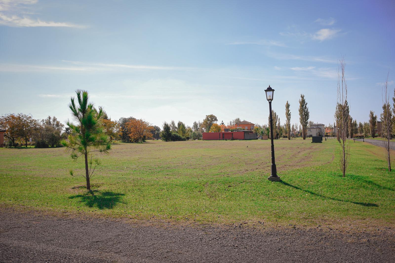 image 25