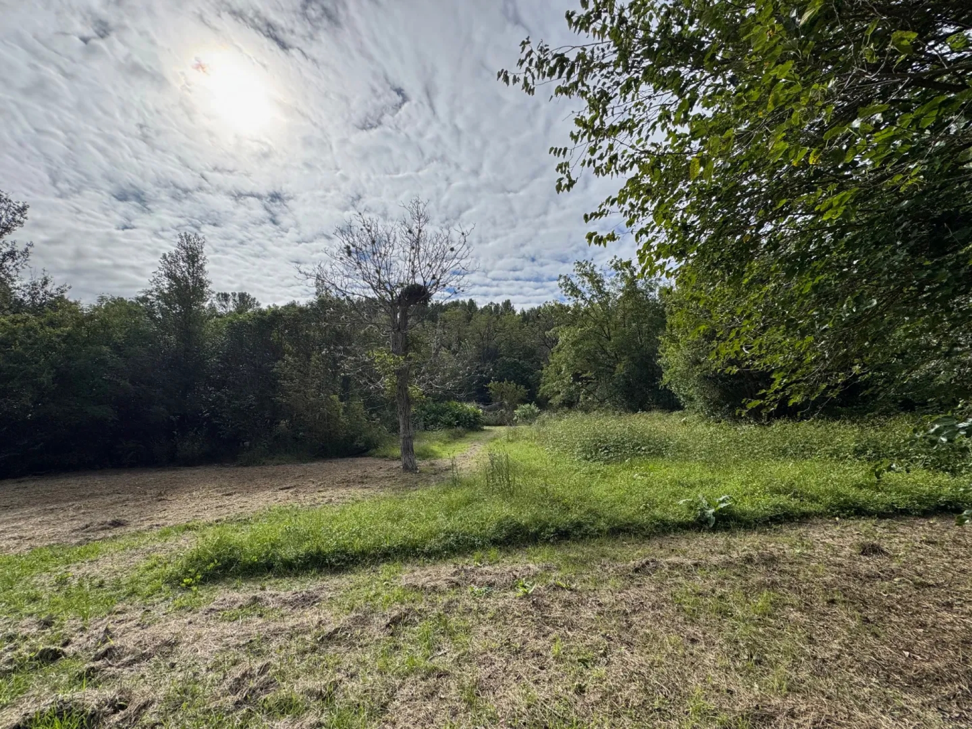 image 23