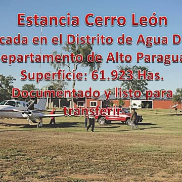 62.000 HECTÁREAS EN ALTO PARAGUAY 