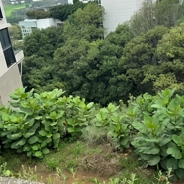 Terreno Exclusivo en Bosque Real