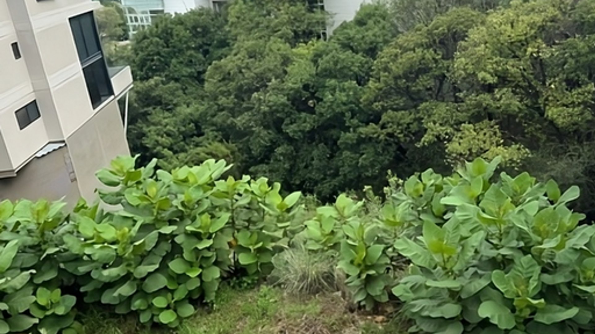 image_1.jpg