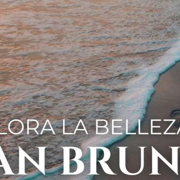 Terreno en venta, San Bruno, Dzemul, Yucatán