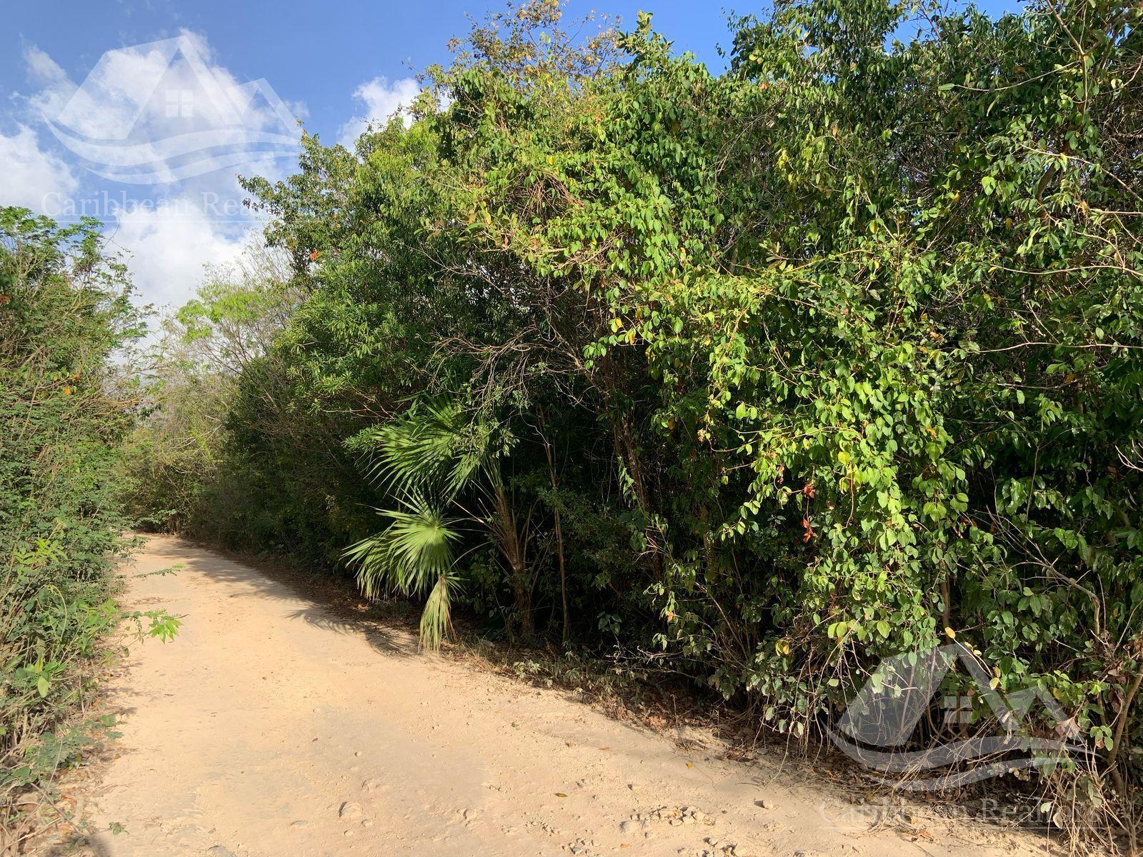 image 13
