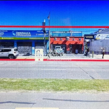 Terreno en Buceo, ideal inversión!