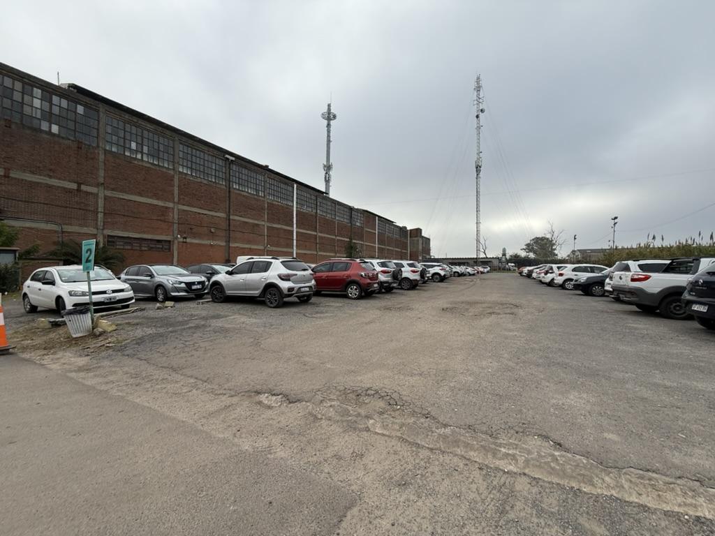 image 13