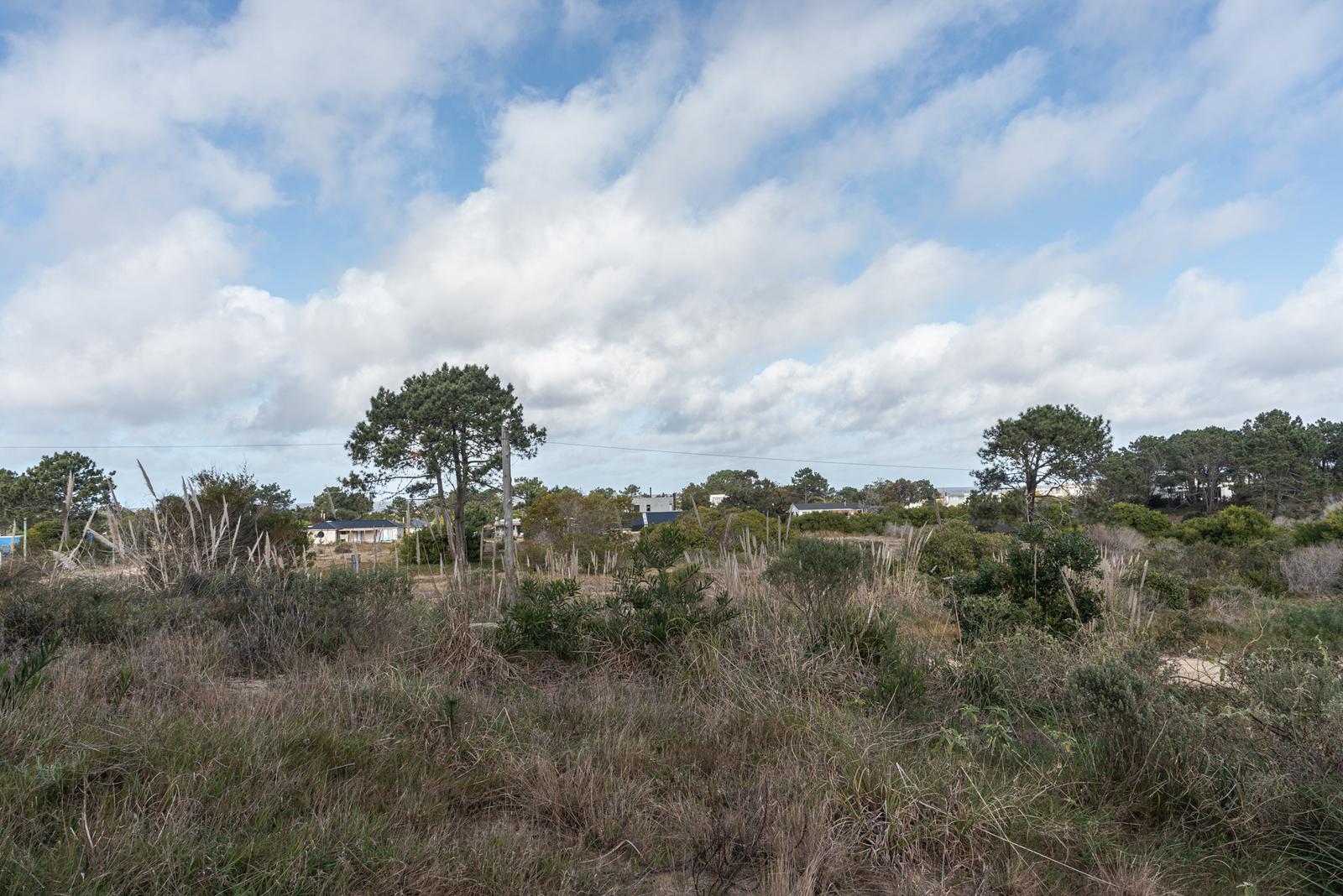 image 35
