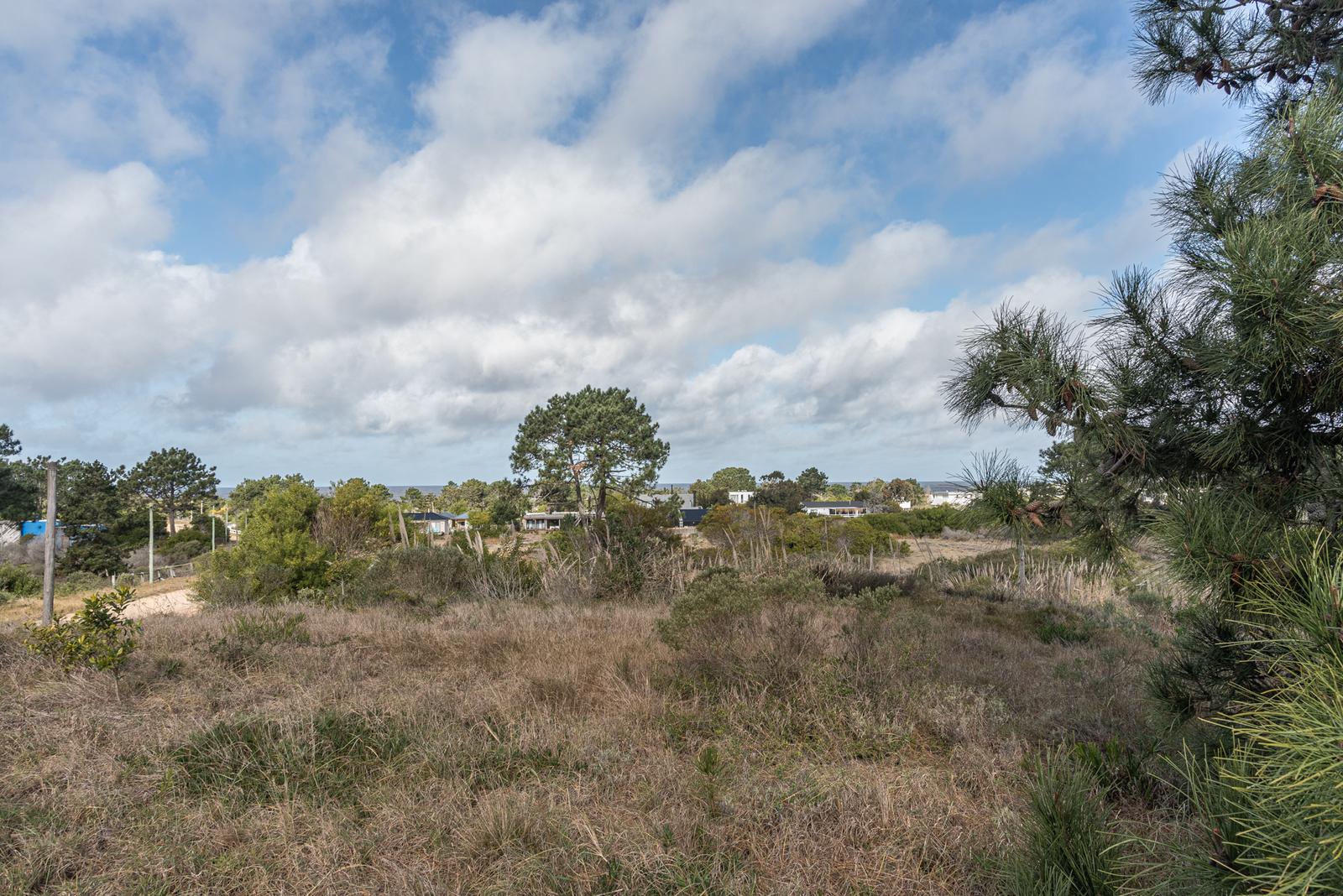 image 36