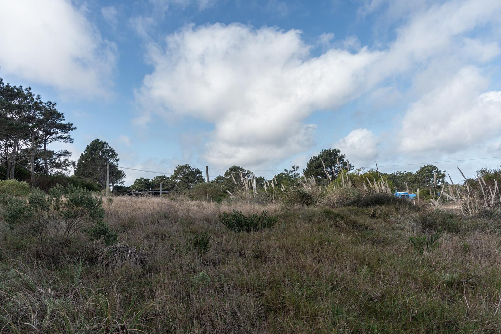 image 47