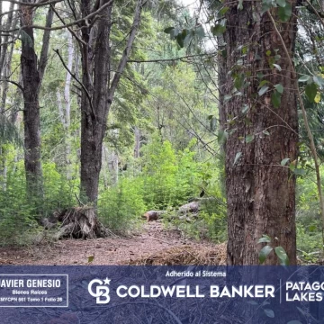 VENTA Lote | Terreno 3000m2 UF 12 Villa La Angostura Acceso al lago