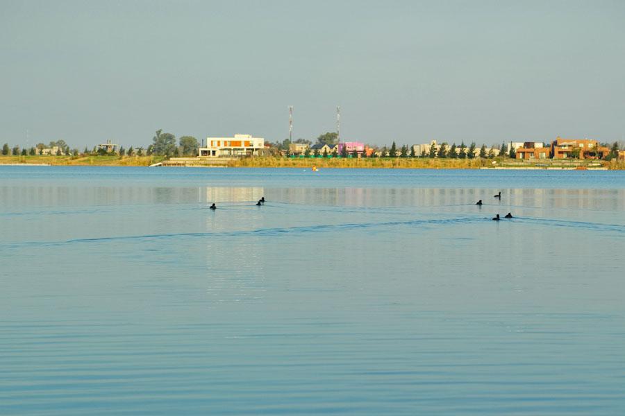 image 50