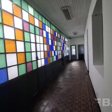 1753801579.jpg