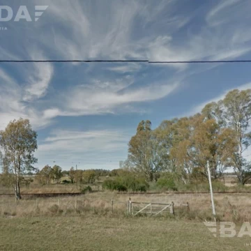 1753909567.jpg