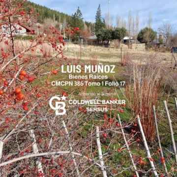Terreno en Huinganco Prov. del Neuquén