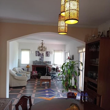 1754400252.jpg