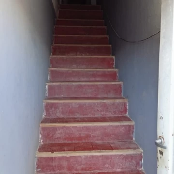 Settino 100