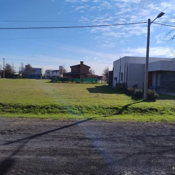 1754511194.jpg