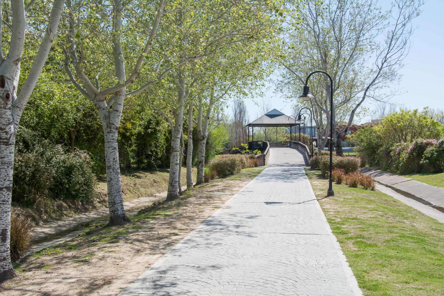 image 14