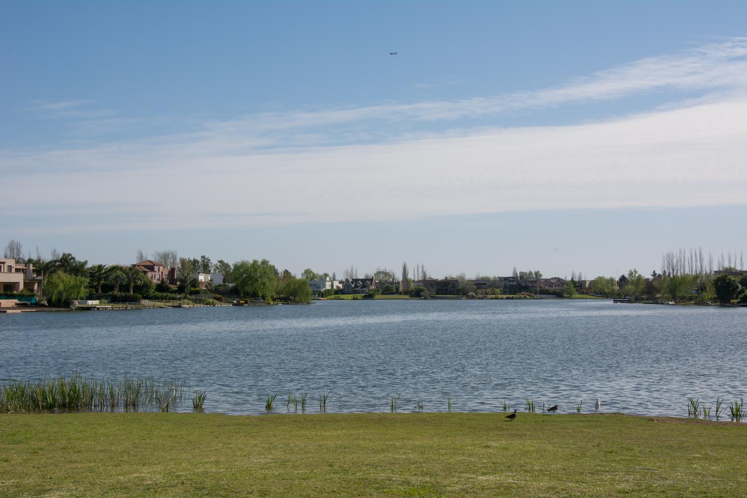 image 33