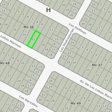 Lote en Playa Los Lobos de 360 m2