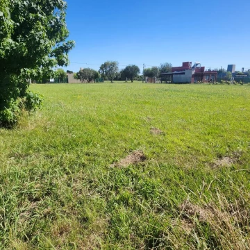 VENTA - Terrenos. Dos lotes de 800 m2 cada uno - Coronel Domínguez.